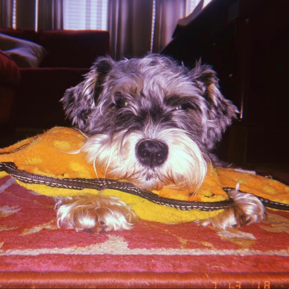 Meet your Posher, Sarrah